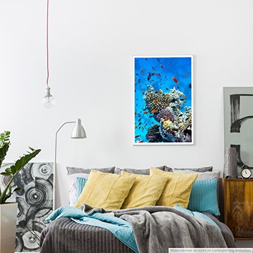 Best for home Artprints - Kunstbild - Tropisches Korallenriff mit orangen Fischen- Fotodruck in gestochen scharfer Qualität