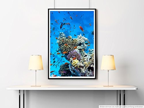 Best for home Artprints - Kunstbild - Tropisches Korallenriff mit orangen Fischen- Fotodruck in gestochen scharfer Qualität