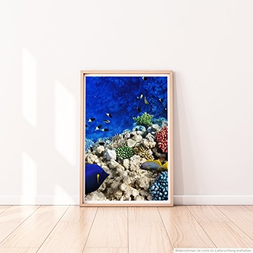 Best for home Artprints - Kunstbild - Buntes Korallenriff mit Fischen- Fotodruck in gestochen scharfer Qualität