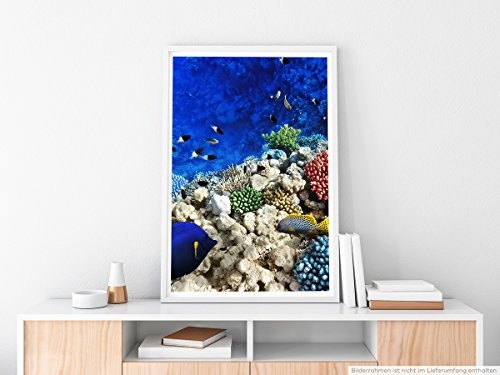 Best for home Artprints - Kunstbild - Buntes Korallenriff...