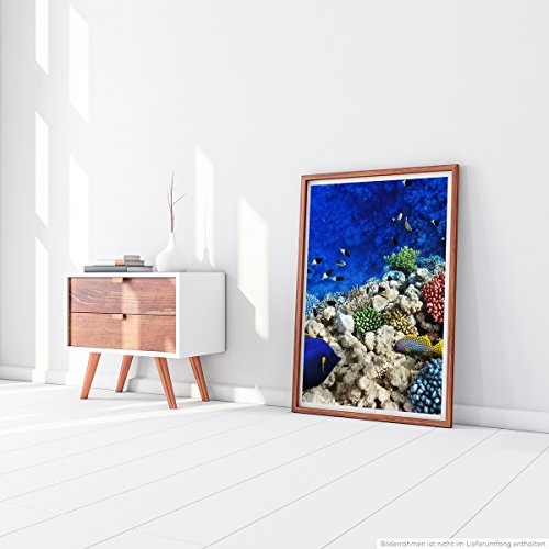 Best for home Artprints - Kunstbild - Buntes Korallenriff mit Fischen- Fotodruck in gestochen scharfer Qualität