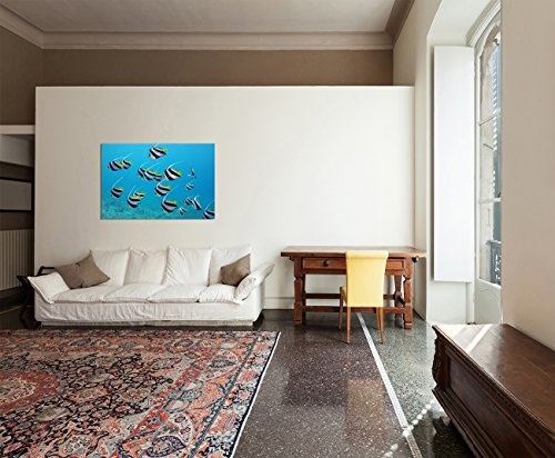 120x80cm - Fische Wasser Sand Rotes Meer exotisch - Bild auf Keilrahmen modern stilvoll - Bilder und Dekoration