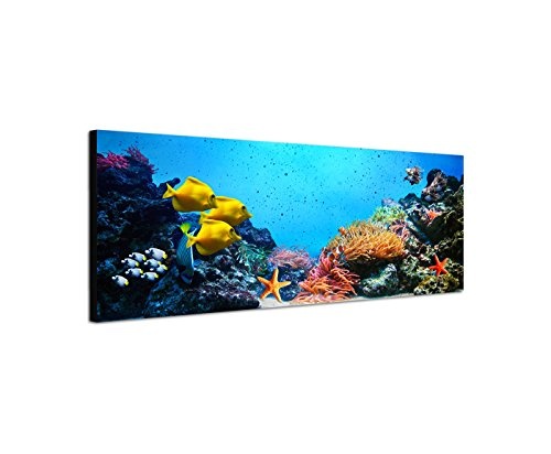 Wandbild auf Leinwand als Panorama in 120x40cm Korallenriff Unterwasser Fische Seesterne