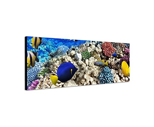 Wandbild auf Leinwand als Panorama in 120x40cm Unterwasser Riff Fische Korallen