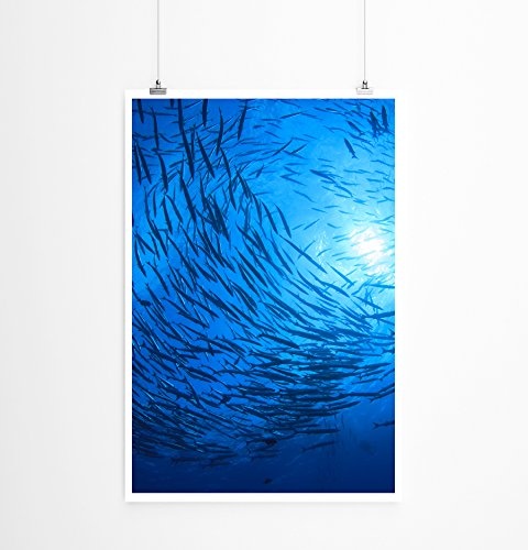 Best for home Artprints - Tierfotografie - Fischschwarm im blauen Meer- Fotodruck in gestochen scharfer Qualität