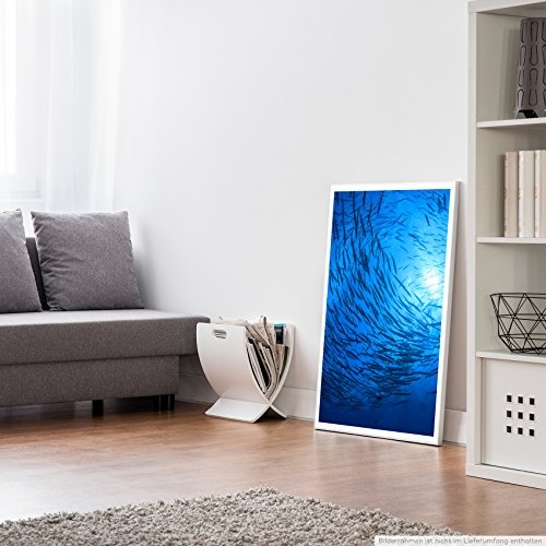 Best for home Artprints - Tierfotografie - Fischschwarm im blauen Meer- Fotodruck in gestochen scharfer Qualität