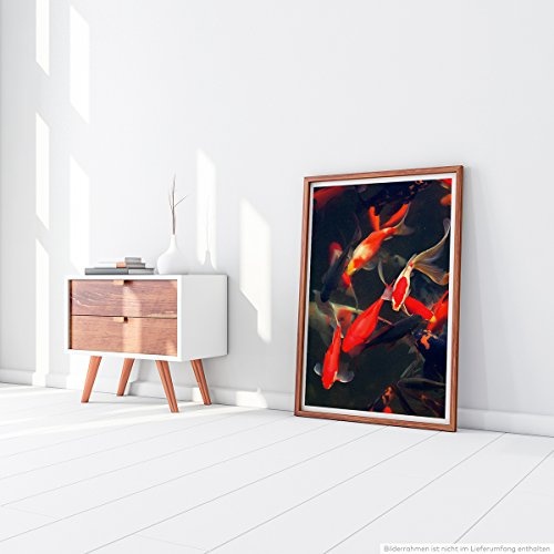 Best for home Artprints - Tierfotografie - Wunderschöne rote und orange Koi Karpfenfische - Fotodruck in gestochen scharfer Qualität