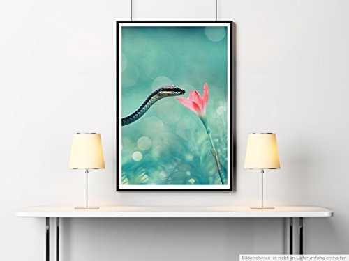 Best for home Artprints - Tierfotografie - Kleine Schlange mit rosa Blume- Fotodruck in gestochen scharfer Qualität