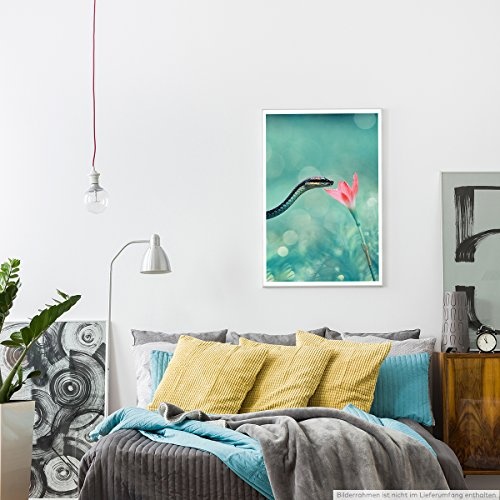 Best for home Artprints - Tierfotografie - Kleine Schlange mit rosa Blume- Fotodruck in gestochen scharfer Qualität