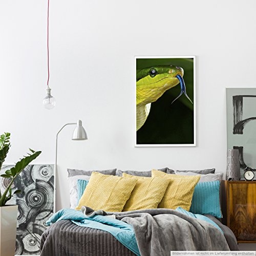 Best for home Artprints - Tierfotografie - Grüne Spitzkopfnatter- Fotodruck in gestochen scharfer Qualität