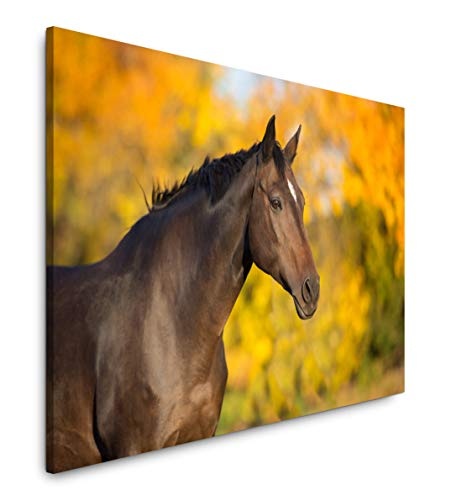 bestforhome 180x120cm Leinwandbild braunes Pferd im Herbst Leinwand auf Holzrahmen