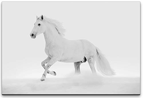 bestforhome 150x100cm Leinwandbild weißes Pferd Schimmel im Schnee Leinwand auf Holzrahmen