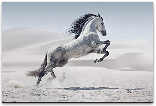 bestforhome 150x100cm Leinwandbild Schimmel weißes Pferd im Gallop Leinwand auf Holzrahmen