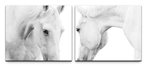 SIN-US 74 Weiße Pferde Bild Leinwand fertig auf Rahmen 2 Bilder a 50x60cm