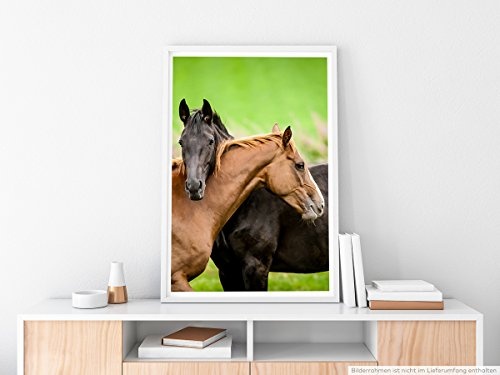 Best for home Artprints - Tierfotografie - Zwei befreundete Pferde- Fotodruck in gestochen scharfer Qualität