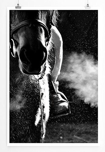 Best for home Artprints - Tierfotografie - Schnaubendes Pferd mit Reiter schwarz weiß- Fotodruck in gestochen scharfer Qualität