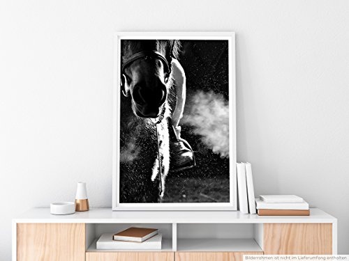 Best for home Artprints - Tierfotografie - Schnaubendes Pferd mit Reiter schwarz weiß- Fotodruck in gestochen scharfer Qualität