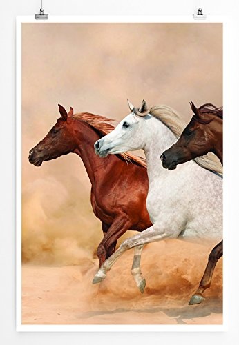 Best for home Artprints - Tierfotografie - Rennende Pferde- Fotodruck in gestochen scharfer Qualität