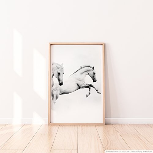 Best for home Artprints - Künstlerische Fotografie - Zwei weiße Pferde- Fotodruck in gestochen scharfer Qualität