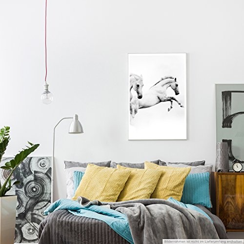 Best for home Artprints - Künstlerische Fotografie - Zwei weiße Pferde- Fotodruck in gestochen scharfer Qualität