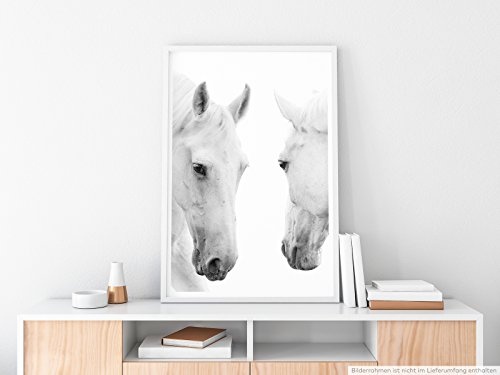 Best for home Artprints - Tierfotografie - Weiße Pferde auf weißem Grund - Fotodruck in gestochen scharfer Qualität