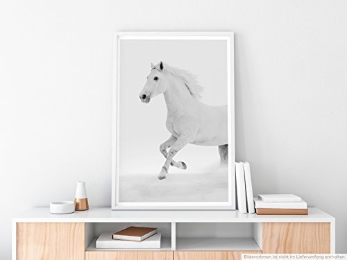 Best for home Artprints - Tierfotografie - Weißes Pferd im Schnee - Fotodruck in gestochen scharfer Qualität
