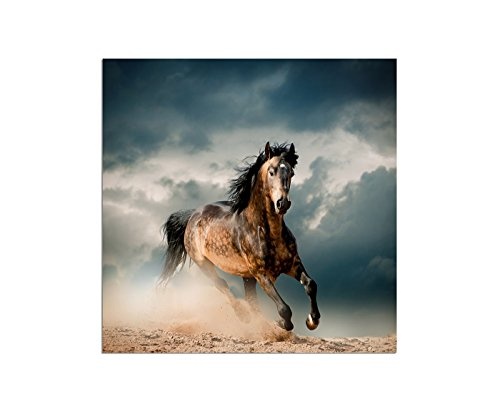 80x80cm - Pferd Sand Dunst Wolkenhimmel - Bild auf...