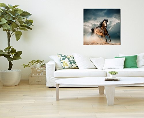 80x80cm - Pferd Sand Dunst Wolkenhimmel - Bild auf...