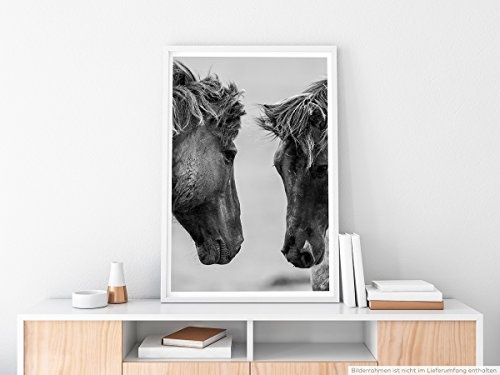 Best for home Artprints - Tierfotografie - Icehorse auch...