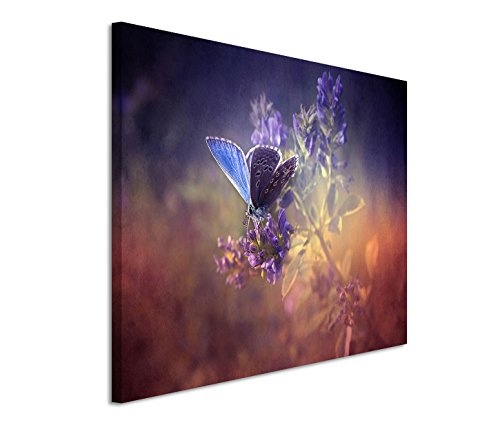 Modernes Bild 90x60cm Künstlerische Fotografie - Vintage Schmetterling auf Blüte