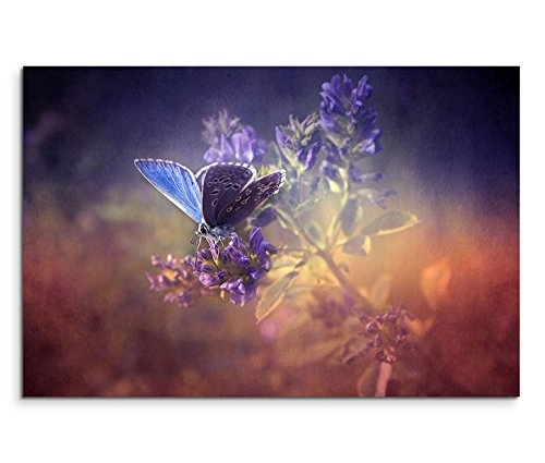 Modernes Bild 90x60cm Künstlerische Fotografie - Vintage Schmetterling auf Blüte