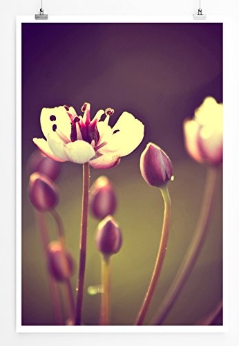Best for home Artprints - Kunstbild - Vintage Blume mit braunem Hintergrund- Fotodruck in gestochen scharfer Qualität
