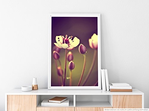 Best for home Artprints - Kunstbild - Vintage Blume mit braunem Hintergrund- Fotodruck in gestochen scharfer Qualität