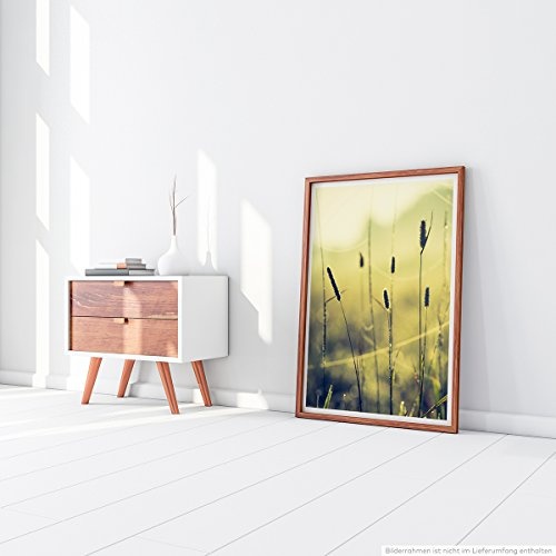 Best for home Artprints - Kunstbild - Vintage Grasblüten- Fotodruck in gestochen scharfer Qualität