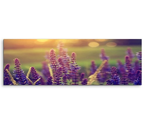 Modernes Bild 120x40cm Naturfotografie - Vintage Lavendelblüten in der Sonne