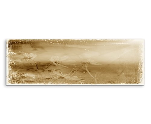 150x50cm Wandbild Panorama Fotoleinwand Bild in Sepia Vintage Blüte II