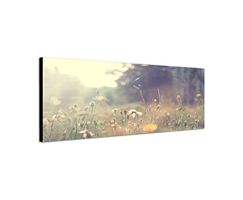 Wandbild auf Leinwand als Panorama in 120x40cm Wiese Wildblumen Frühling Sonnenlicht Vintage