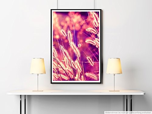 Best for home Artprints - Kunstbild - Schilfrohr im warmen Sonnenlicht- Fotodruck in gestochen scharfer Qualität