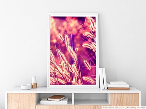 Best for home Artprints - Kunstbild - Schilfrohr im warmen Sonnenlicht- Fotodruck in gestochen scharfer Qualität