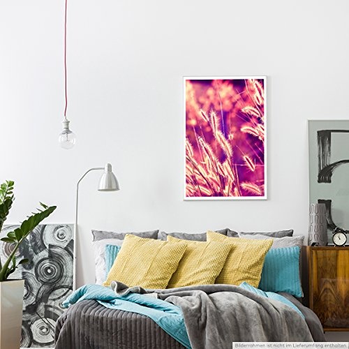 Best for home Artprints - Kunstbild - Schilfrohr im warmen Sonnenlicht- Fotodruck in gestochen scharfer Qualität