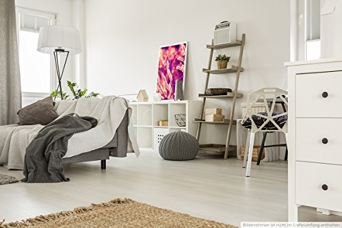 Best for home Artprints - Kunstbild - Schilfrohr im warmen Sonnenlicht- Fotodruck in gestochen scharfer Qualität