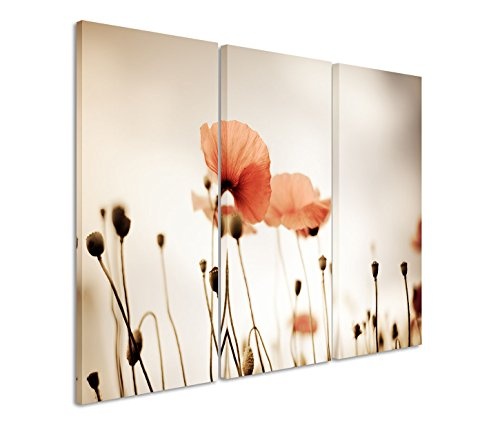 Modernes Bild 3 teilig je 40x90cm Naturfotografie - Mohnblüten im Retro Stil