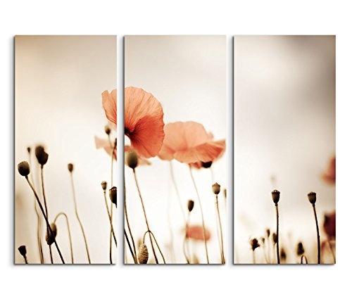 Modernes Bild 3 teilig je 40x90cm Naturfotografie - Mohnblüten im Retro Stil