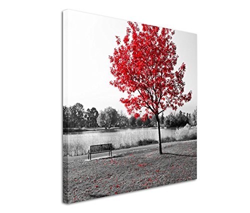 Modernes Bild 80x80cm Künstlerische Fotografie - Leere Parkbank mit rotem Herbstbaum