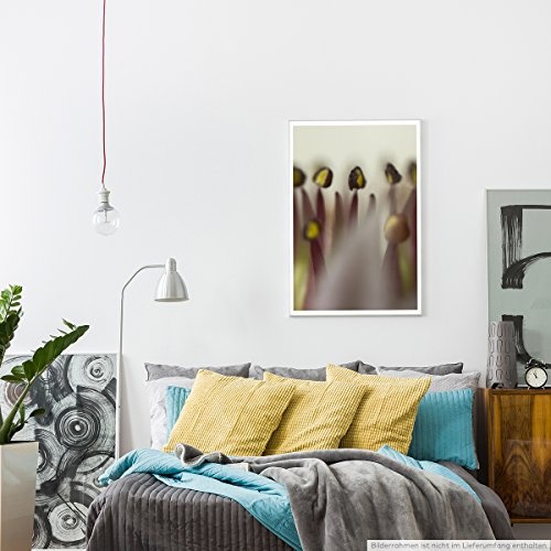 Best for home Artprints - Kunstbild - Winterharte Staudenpflanze- Fotodruck in gestochen scharfer Qualität