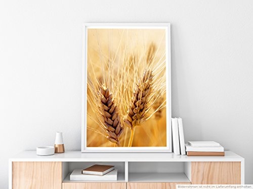 Best for home Artprints - Kunstbild - Weizenhalme im Wind- Fotodruck in gestochen scharfer Qualität