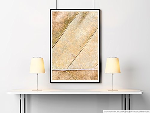 Best for home Artprints - Kunstbild - Getrocknetes Laubblatt- Fotodruck in gestochen scharfer Qualität