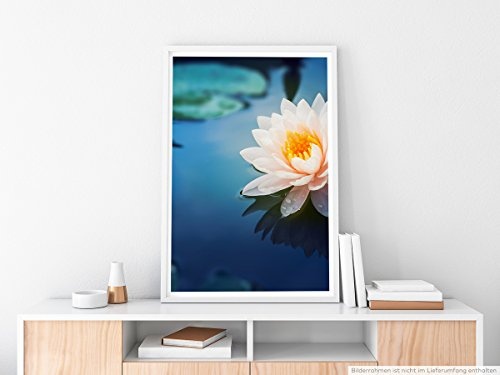 Best for home Artprints - Kunstbild - Wunderschöne Lotusblüte- Fotodruck in gestochen scharfer Qualität