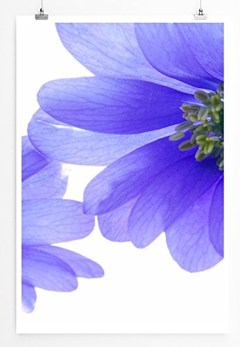 Best for home Artprints - Kunstbild - Kornblumen- Fotodruck in gestochen scharfer Qualität