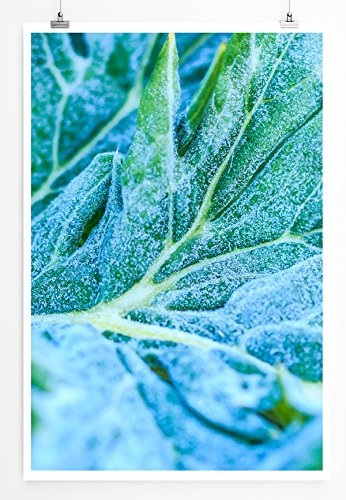 Best for home Artprints - Kunstbild - Gemüseblatt mit Frost- Fotodruck in gestochen scharfer Qualität